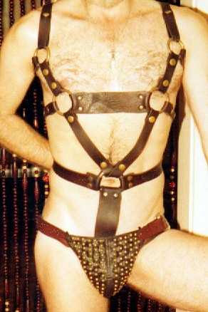 Brass & Brown LeatherJock & Harness