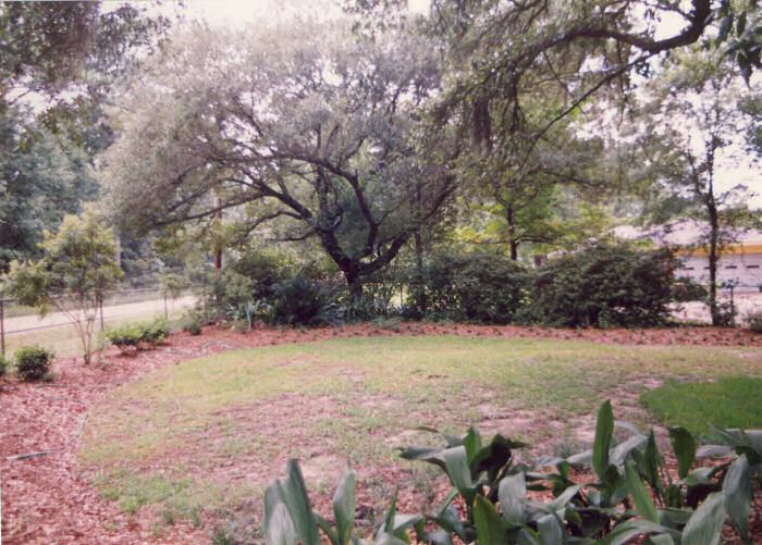 The Southwest Corner