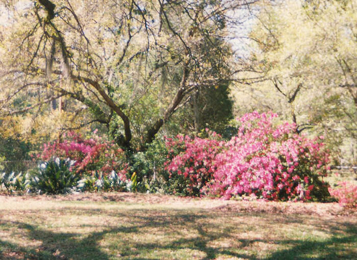 The Southwest Corner Rules!