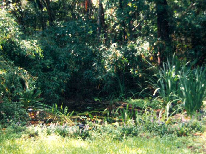 Leather Oaks Pond at Two!