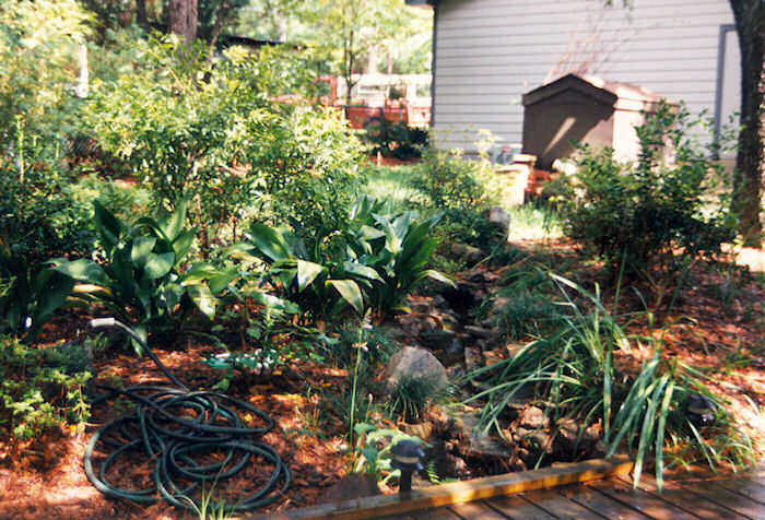 Rubber Creek Headwaters