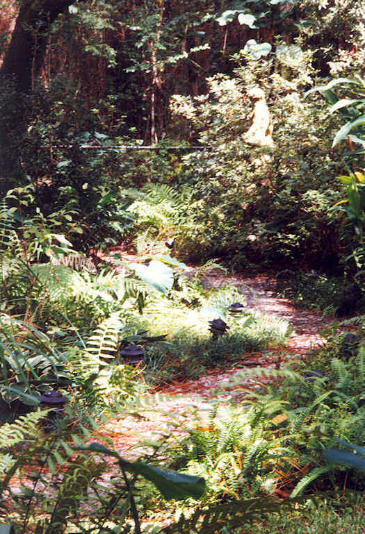 Marshy Path towards Neptune's Knoll