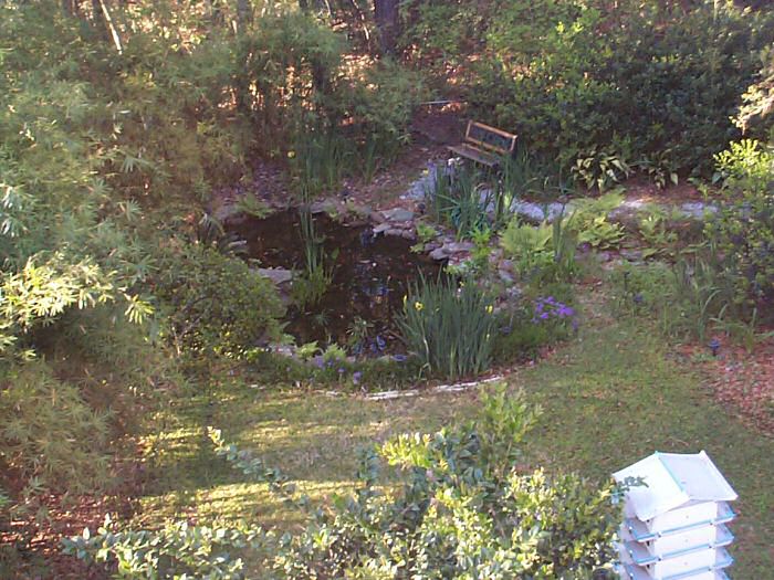 An elevated view of the Leather Oaks Pond
