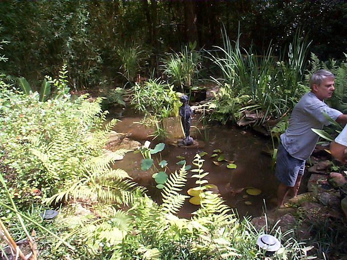 Pipe in replanted pond