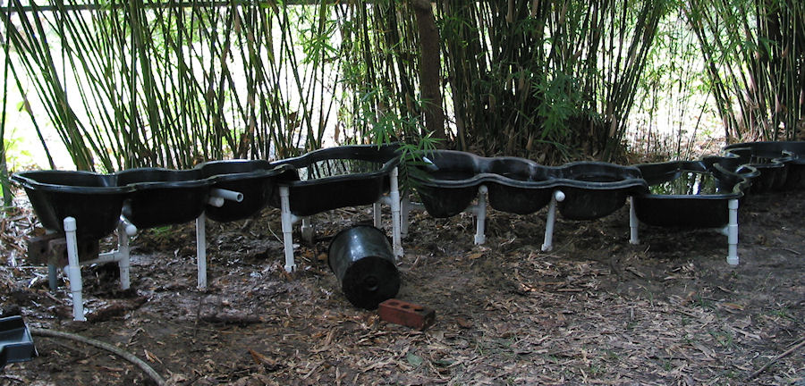 More Cascades, more fun!