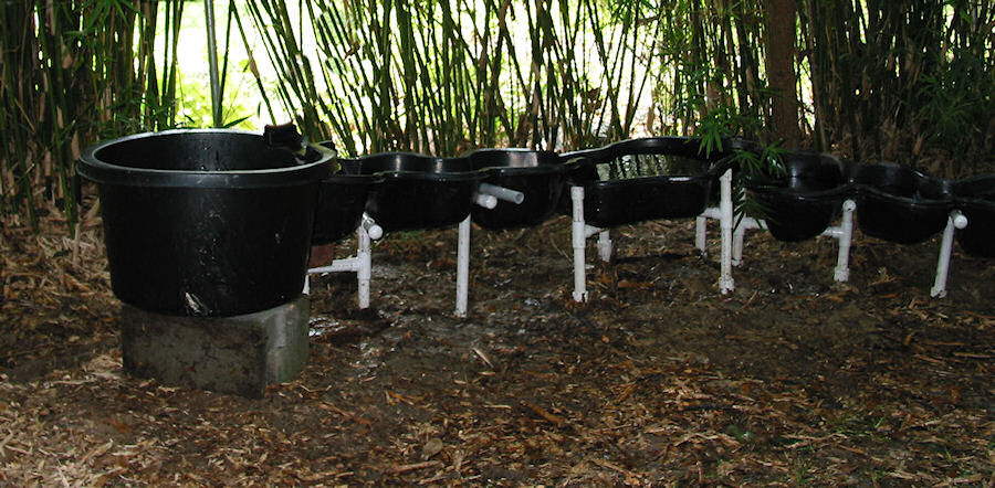 Pondlet sections four through seven