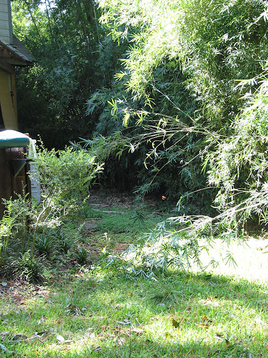 West side of house after Ivan