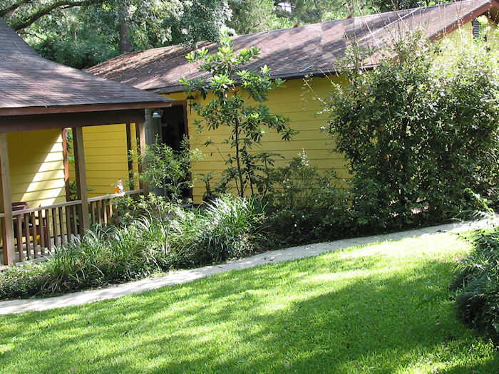 Front Planting towards Magic Tunnel
