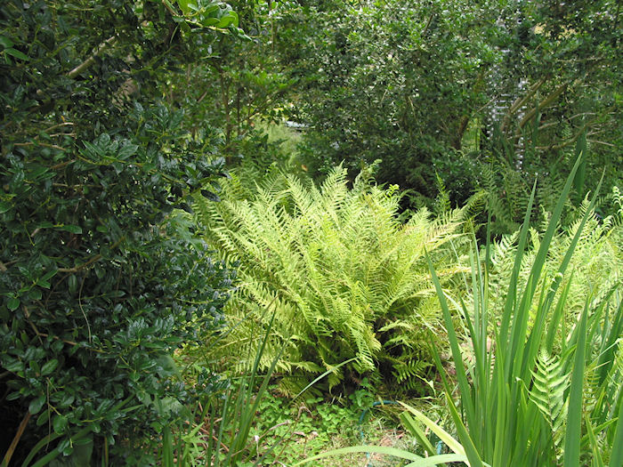 Bell Tower from Pond