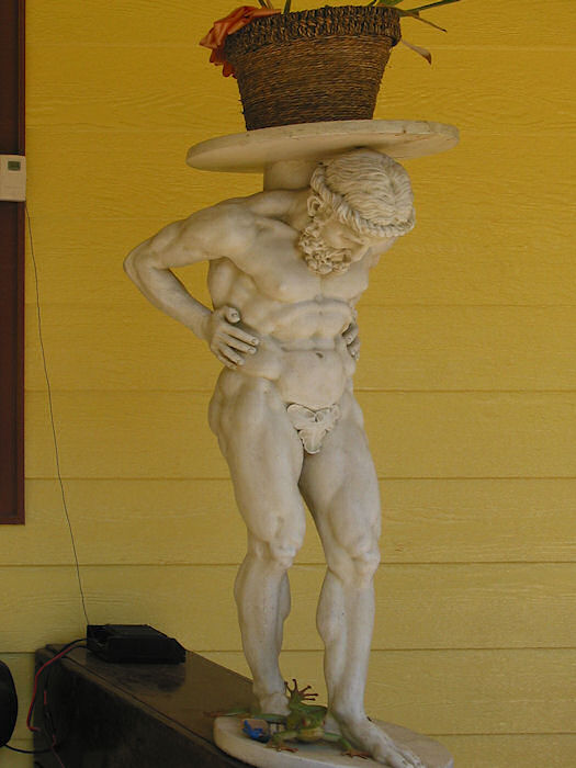 Atlas of the Flower Pot