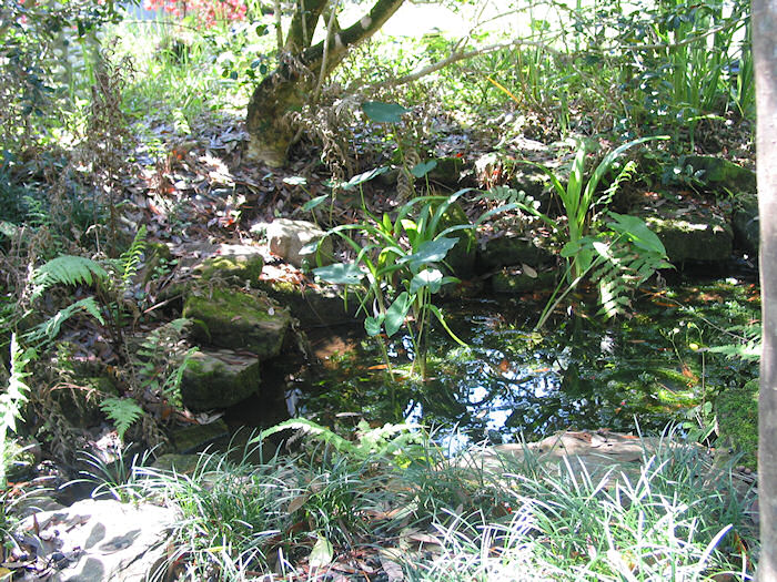 Hidden Grotto Closer View