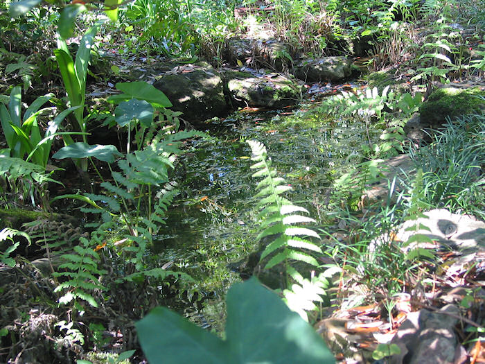 Hidden Grotto on the Rubber Creek