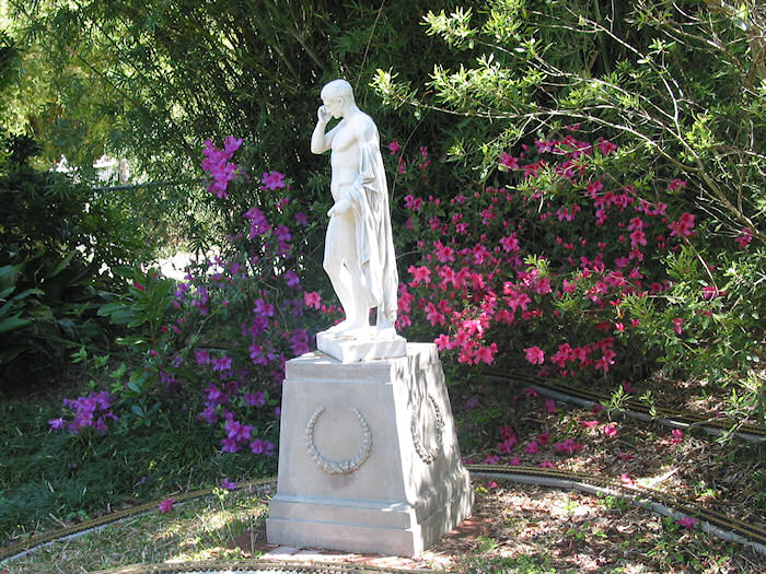 Marcellus on the Azalea Trail