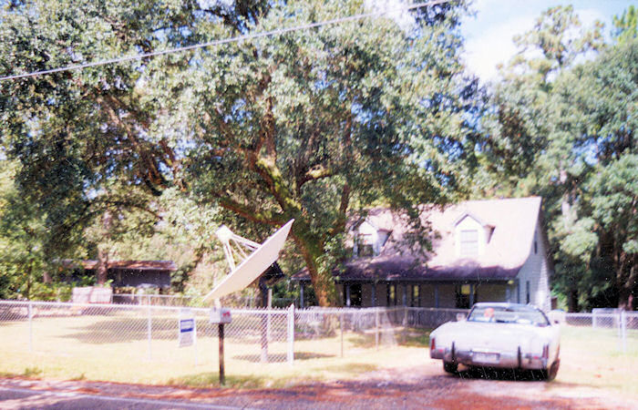 Live Oaks on Shorecrest!