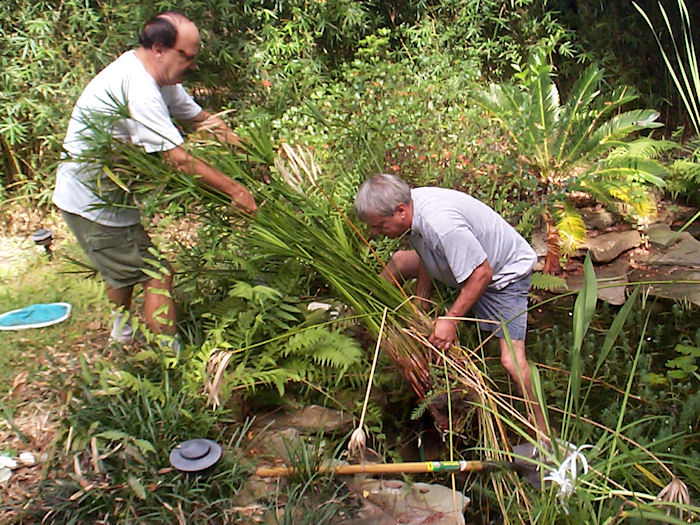 The Great Garden Makeover