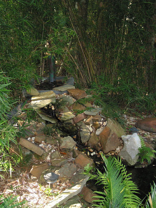 The Gurgle Falls and a Skeletal Stream