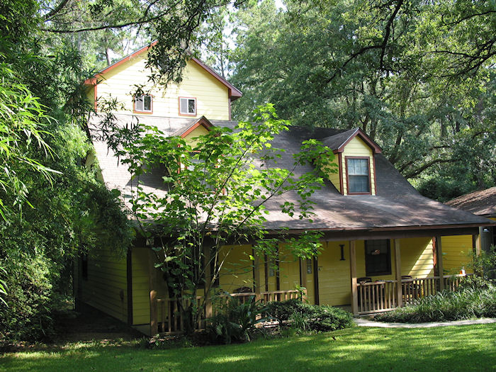 Sunshine Yellow Smiling House