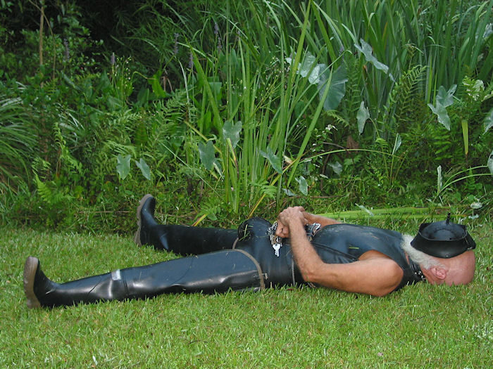 A Bulge-triumphant Harold Rests