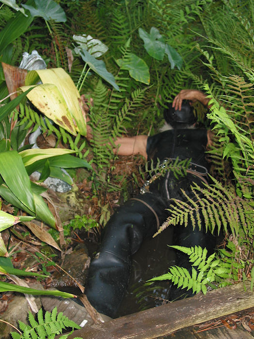 Harold Hides his face whilst resting in the Rilly Rapids