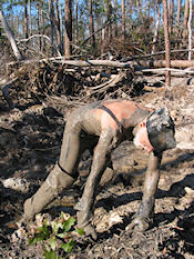 The mud spider crawl