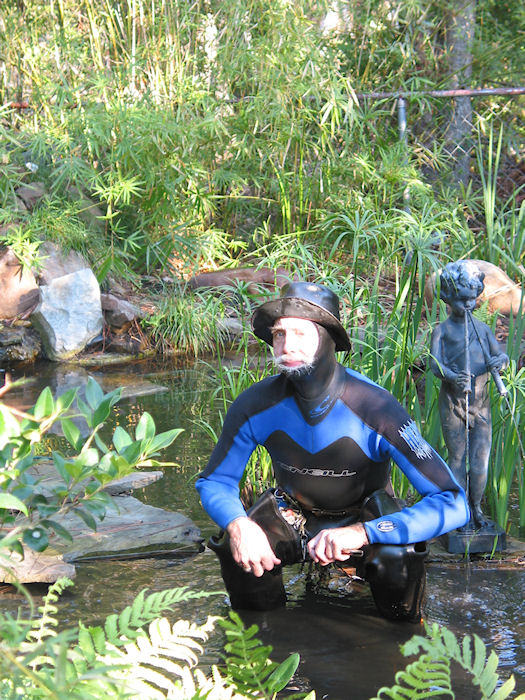 Black Water in the Pond?