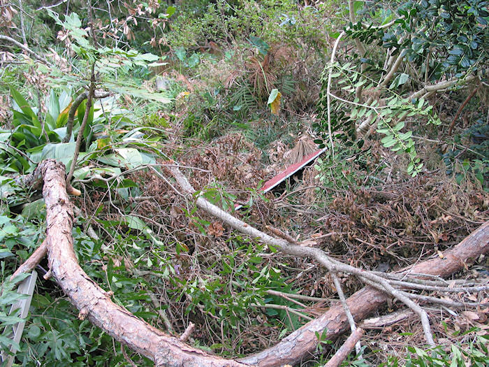 Rubber Creeek Headwaters?