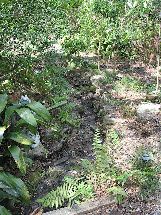 Hurricane Drowth on Rubber Creek