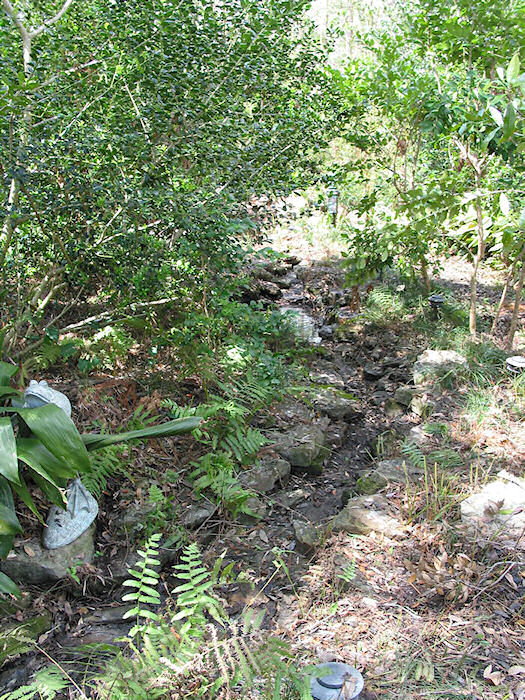 Rubber Creek to Diver's Deep low water
