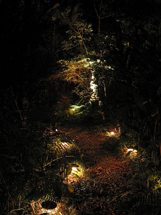 Hidden Pathway through the Marsh