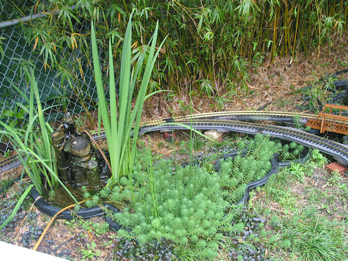 Diver's Loop from above