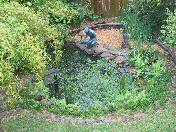 One last view of the Leather Oaks Pond!