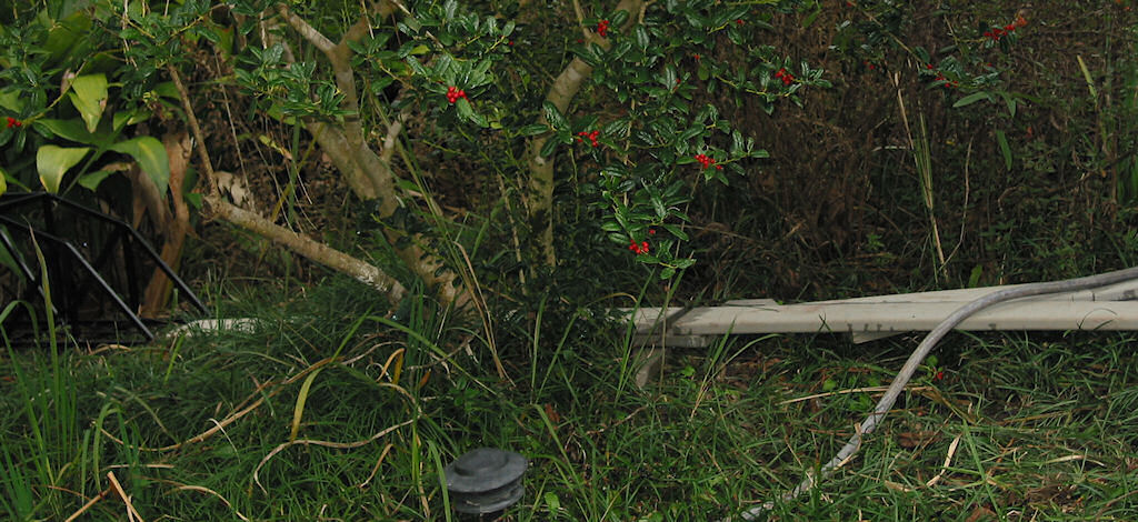 Southern Steel Bridge to House Return Switch