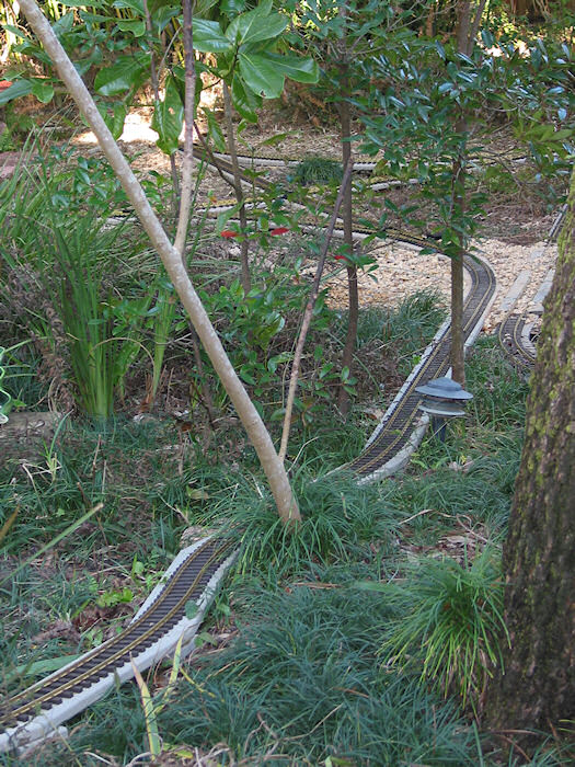 View through the Small Woods