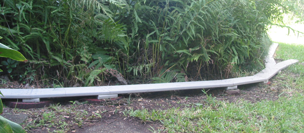 Roadbed after replanting