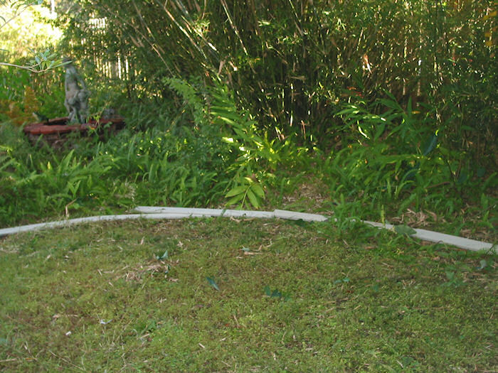 Phase III-B  Roadbed Work Continues!