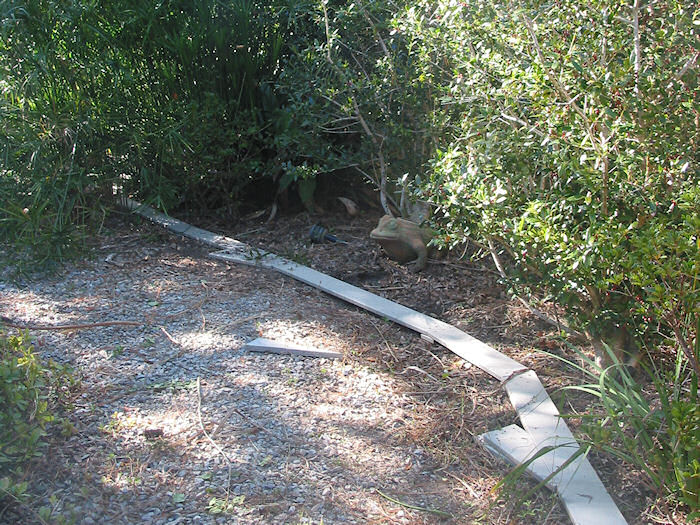 Two Turnouts to Phase IV and Phase V destinations.