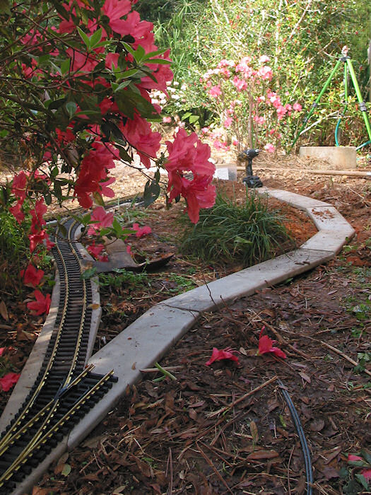 Azaleas behind Neptune?!