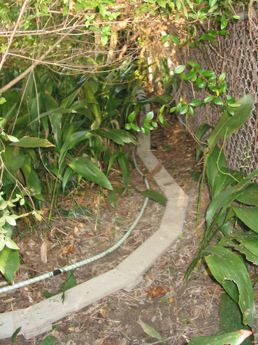 Corner Curve Completion