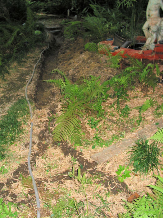 Marshy Path ditch connection